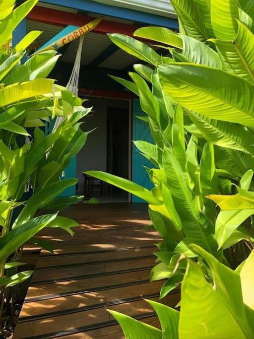 Secteur Prise, Bungalow Corail, Residence Casa Boubou แซนต์-อาน ภายนอก รูปภาพ