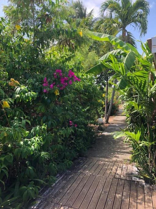 Secteur Prise, Bungalow Corail, Residence Casa Boubou แซนต์-อาน ภายนอก รูปภาพ