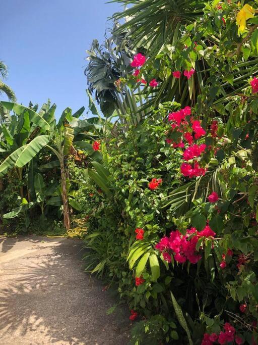 Secteur Prise, Bungalow Corail, Residence Casa Boubou แซนต์-อาน ภายนอก รูปภาพ